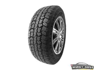 Double Star W01 225/65 R17 102T